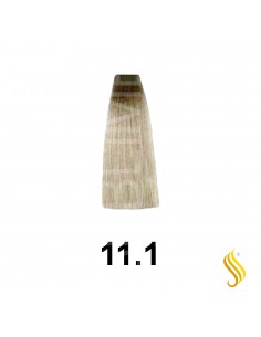 Exitenn Color Creme 60ml, Cor 11/1 Cinzas Brilhante