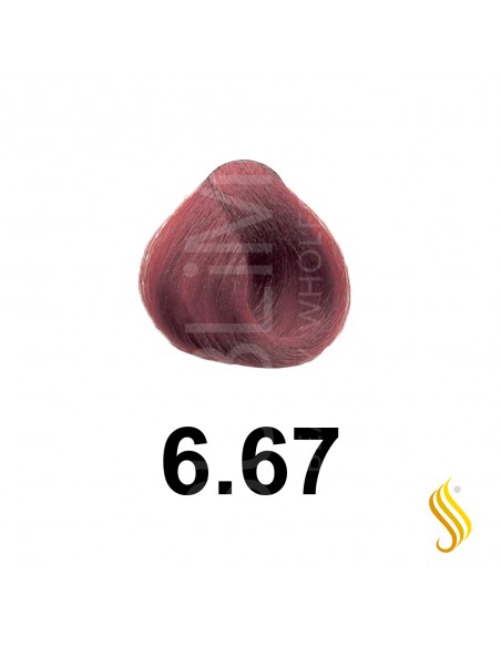 Dikson Couleur Anniversary 6.67 ( 120 Ml)