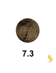 Farmavita B Life Color 7 3 Without Ammonia 100 Ml