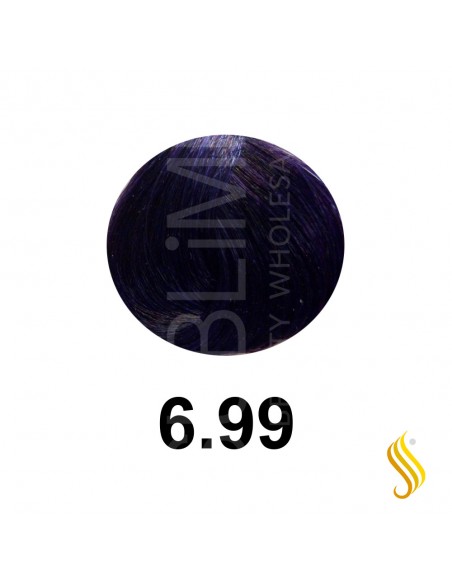 Salerm Salermvison 75ml, Couleur 6,99