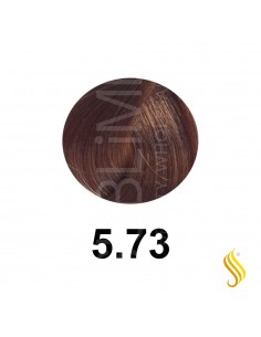 Salerm Salermvison 75ml, Color 5,73
