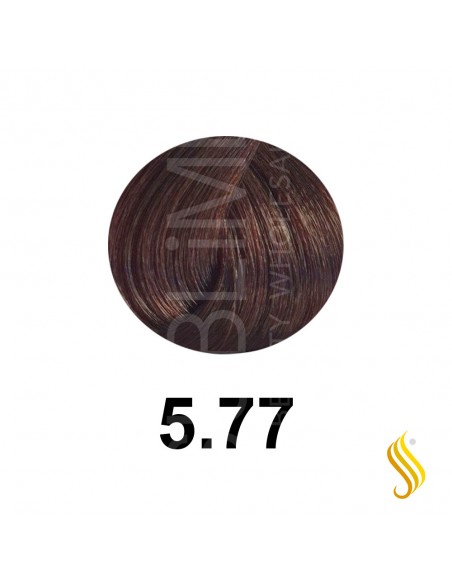 Salerm Salermvison 75ml, Color 5,77