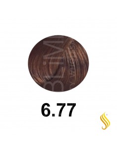 Salerm Salermvison 75ml, Color 6,77