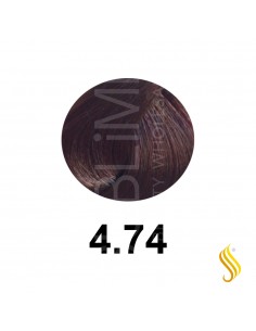 Salerm Salermvison 75ml, Color 4,74