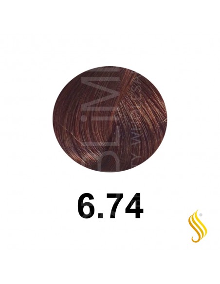 Salerm Salermvison 75ml, Couleur 6,74