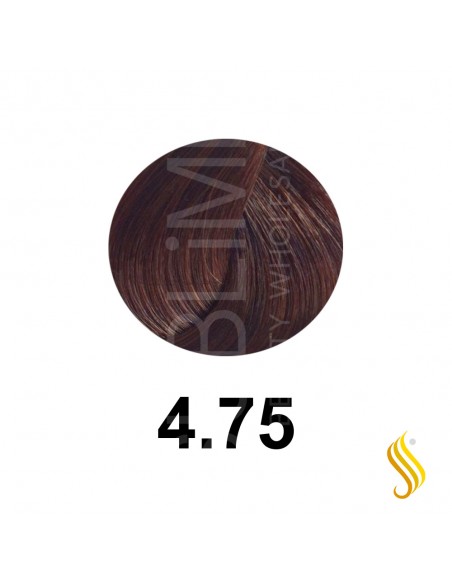 Salerm Salermvison 75ml, Color 4,75