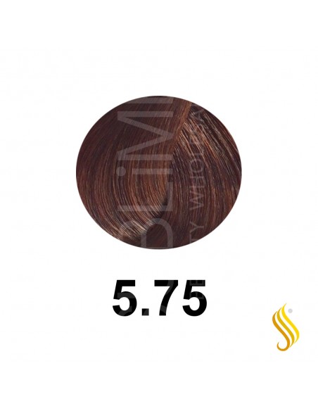 Salerm Salermvison 75ml, Cor 5,75