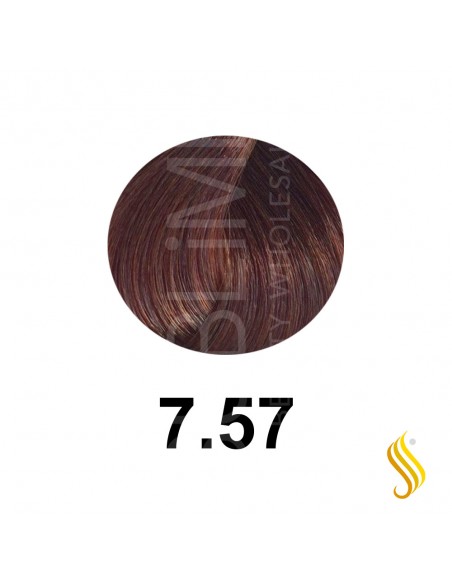 Salerm Salermvison 75ml, Couleur 7,57