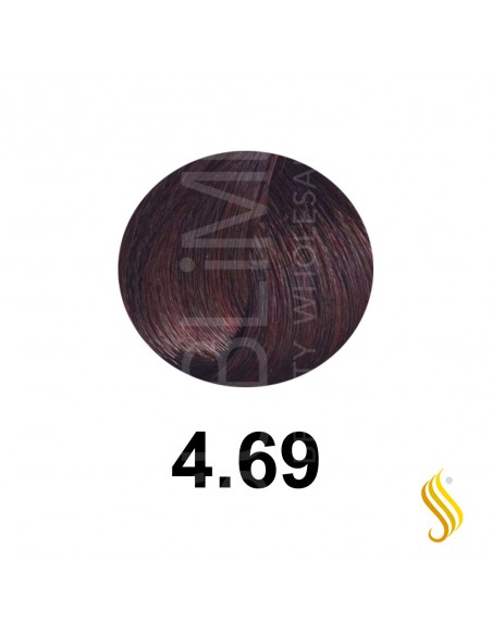 Salerm Salermvison 75ml, Couleur 4,69