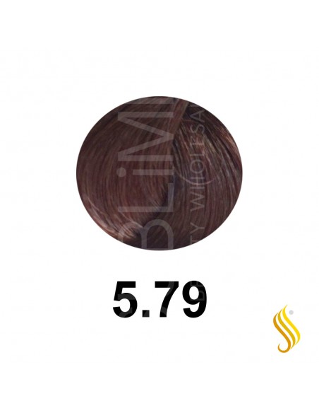Salerm Salermvison 75ml, Couleur 5,79