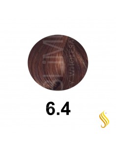 Salerm Salermvison 75ml, Color 6,4