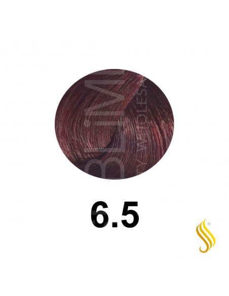 Salerm Salermvison 75ml, Couleur 6,5