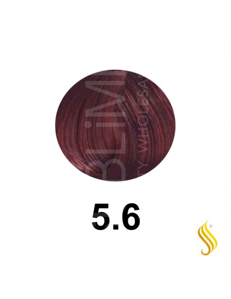 Salerm Salermvison 75ml, Couleur 5,6