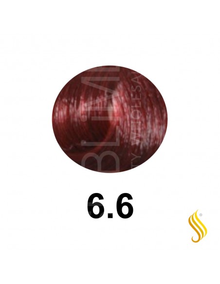 Salerm Salermvison 75ml, Color 6,6