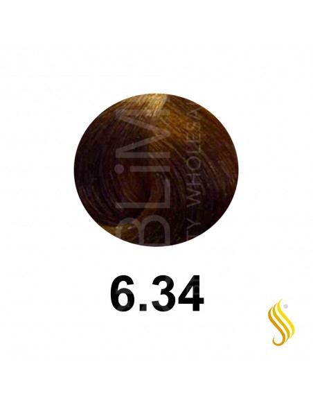 Salerm Salermvison 75ml, Cor 6,34
