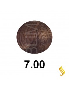 Salerm Salermvison 75ml, Couleur 7,00