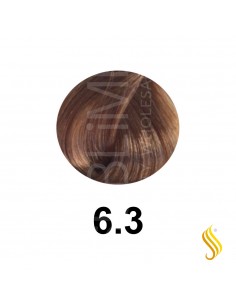 Salerm Salermvison 75ml, Color 6,3