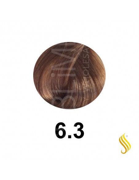 Salerm Salermvison 75ml, Color 6,3