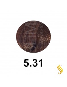 Salerm Salermvison 75ml, Color 5,31