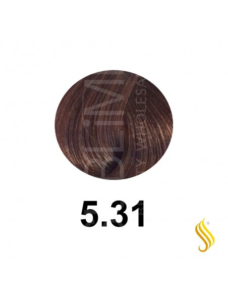 Salerm Salermvison 75ml, Cor 5,31