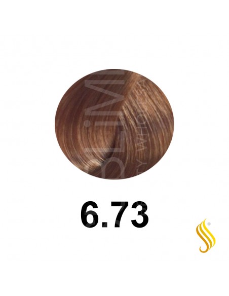 Salerm Salermvison 75ml, Cor 6,73
