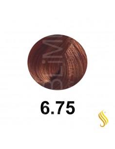 Salerm Salermvison 75ml, Cor 6,75