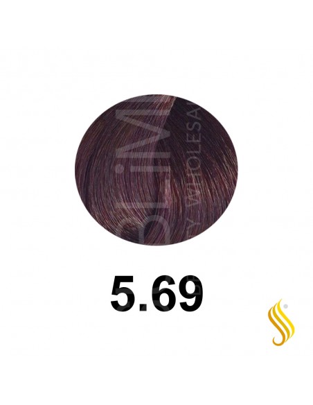 Salerm Salermvison 75ml, Couleur 5,69