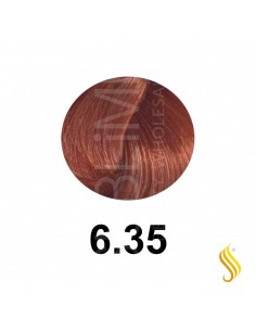 Salerm Salermvison 75ml, Couleur 6,35