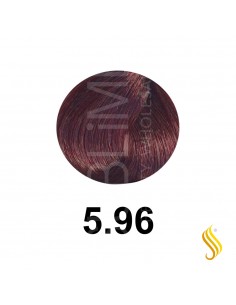 Salerm Salermvison 75ml, Couleur 5,96