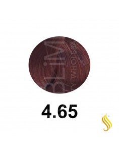Salerm Salermvison 75ml, Color 4,65