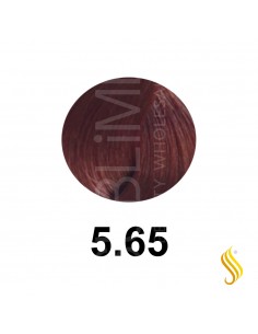 Salerm Salermvison 75ml, Couleur 5,65