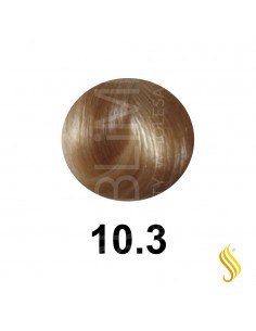 Salerm Salermvison 75ml, Cor 10,3