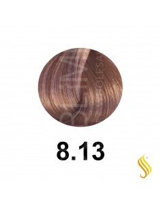 Salerm Salermvison 75ml, Color 8,13