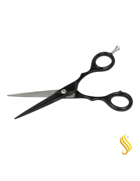 Zenish Ciseaux Professionnel Noir Mat 5.5"