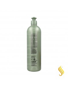 Exitenn Champú Prevencion Caspa 500 Ml 
