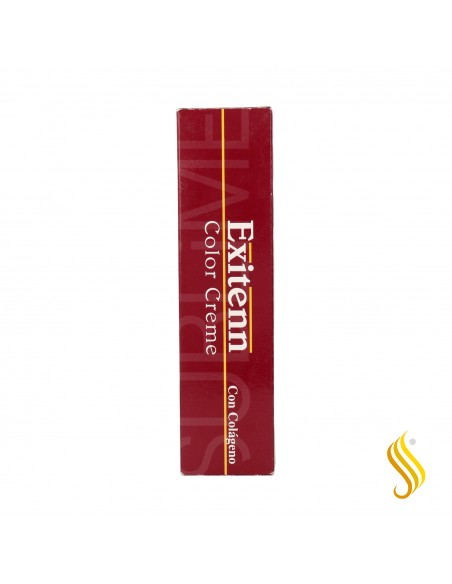 Exitenn Color Creme 60 ml Color 100.4