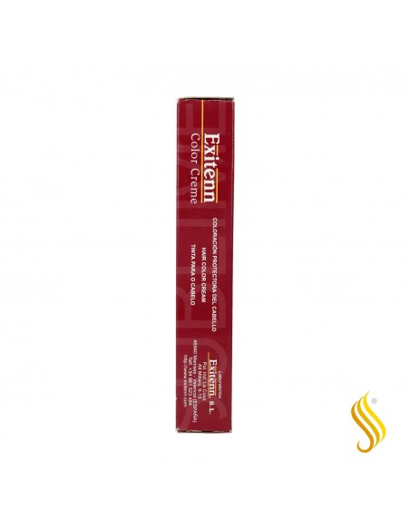 Exitenn Color Creme 60 ml Color 100.4