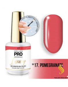 Mollon Pro Luxury Color Coat 17 8ml