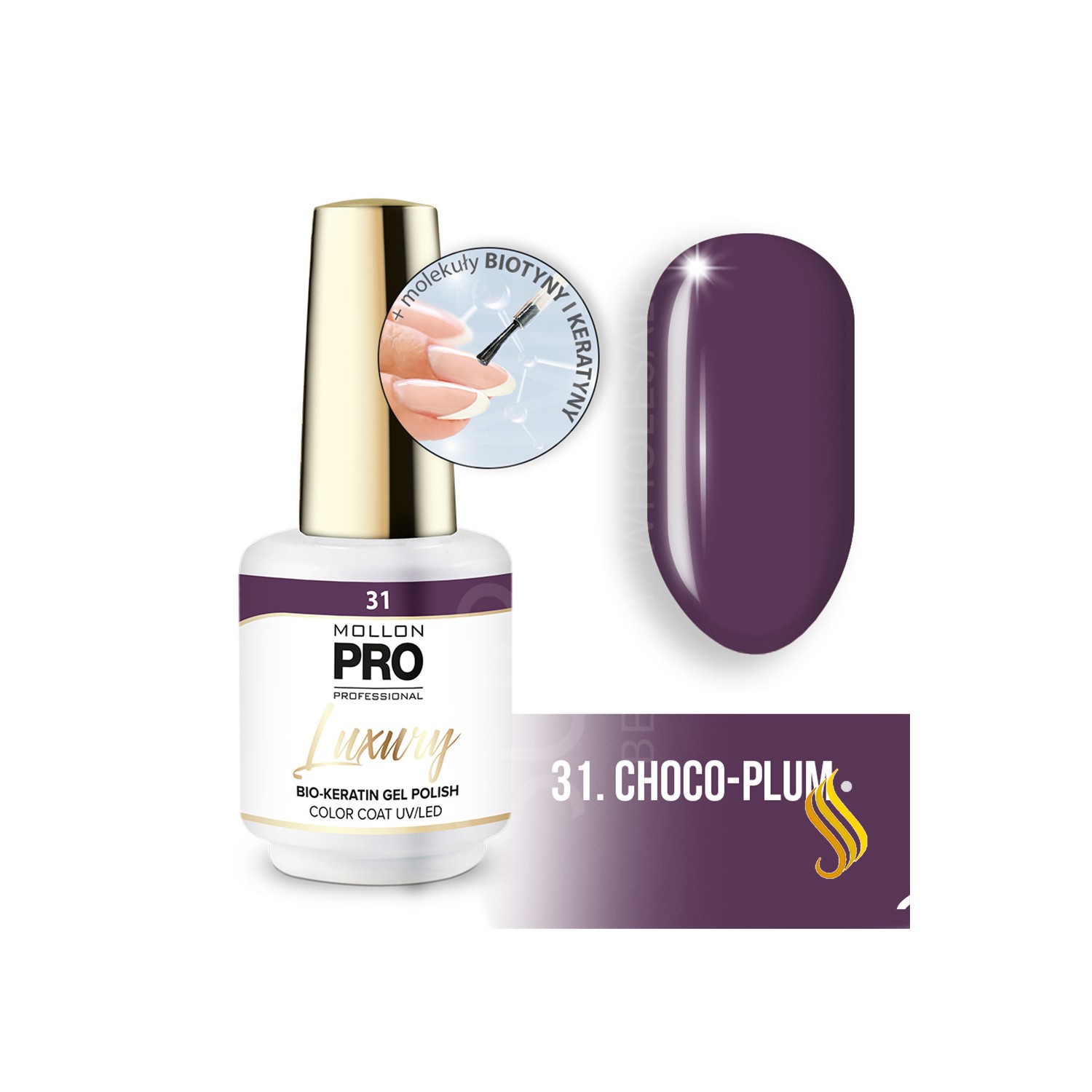 Mollon Pro Luxury Color Coat 31 8ml