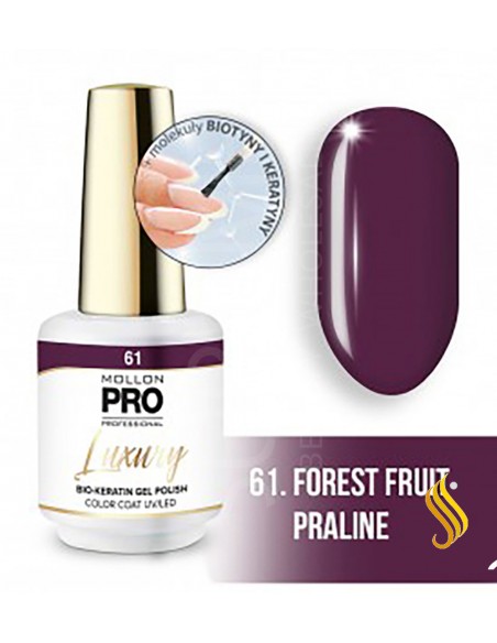 Mollon Pro Luxury Color Coat 61 8ml
