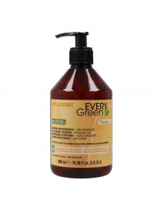 Dikson Every Green Anti Oxidant Champú 500 ml