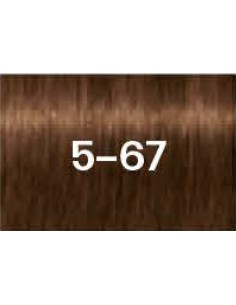 Schwarzkopf Igora Zero Amm 5-67 Light Brown Chocolate Copper 60 ml