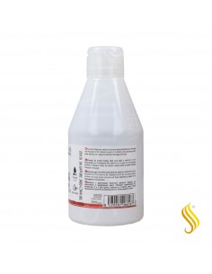 Salerm Hair Lab Color Duradero Champú 300 ml 2