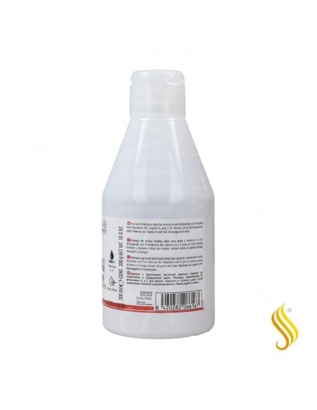 Salerm Hair Lab Color Duradero Champú 300 ml