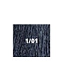 Lisap Lk Fruit Color 1/01 Negro Azul 100 ml