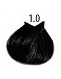 Lisap Lk Fruit Color 1/0 Negro 100 ml