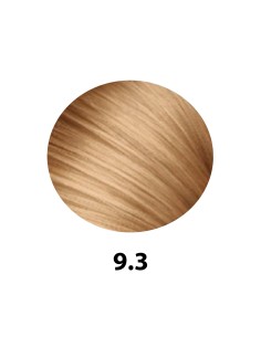 Salerm Salermvison 75ml, Couleur 9,3