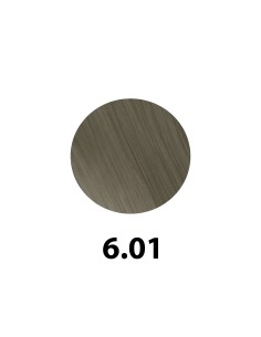 Revlon Revlonissimo Color Excel Glowin 6.01