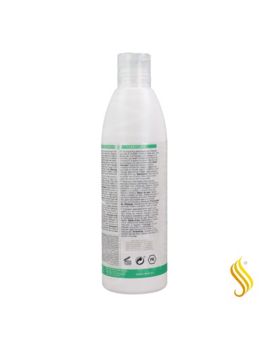 Hairconcept Rizz Treatment Shampoo 300 ml