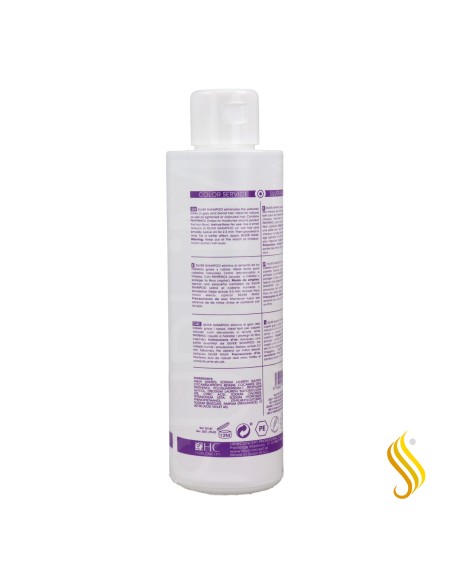 Hairconcept Shampoo Prata Color Service 300 ml